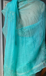 Load image into Gallery viewer, Amna Women&#39;s Lucknowi Handcrafted Pure Organza Silk Chikankari Saree - HONC0TI10500

