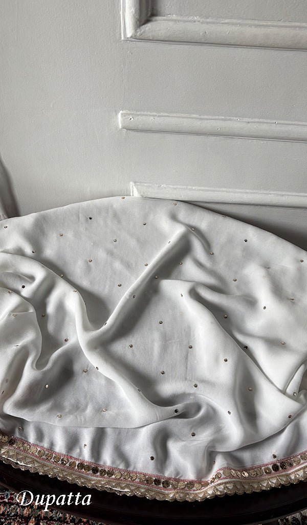 Women's Lucknowi Handcrafted Viscose Georgette Unstitched Chikankari Kurta and Dupatta Set- HONC0329582