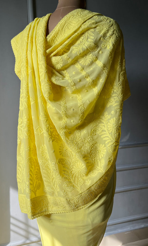 Women's Lakhnavi Handcrafted Viscose Georgette Chikankari Saree - HONC0301792