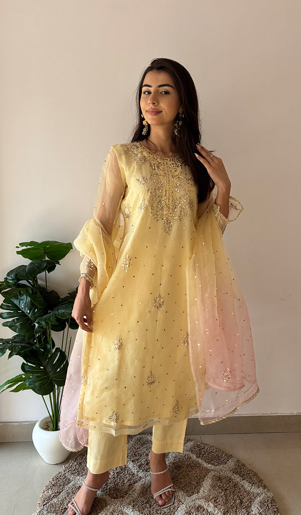 Women's Lucknowi Handcrafted Pure Organza Silk Stitched Chikankari Kurta, Dupatta With Pant Set- HONC0368442