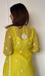 Ira Women's Lucknowi Handcrafted Mul Chanderi Stitched Chikankari Kurta And Plazzo Set .