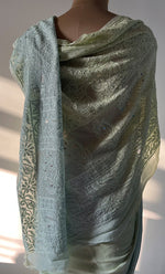 Load image into Gallery viewer, Women&#39;s Lakhnavi Handcrafted Viscose Georgette Chikankari Saree - HONC0271074
