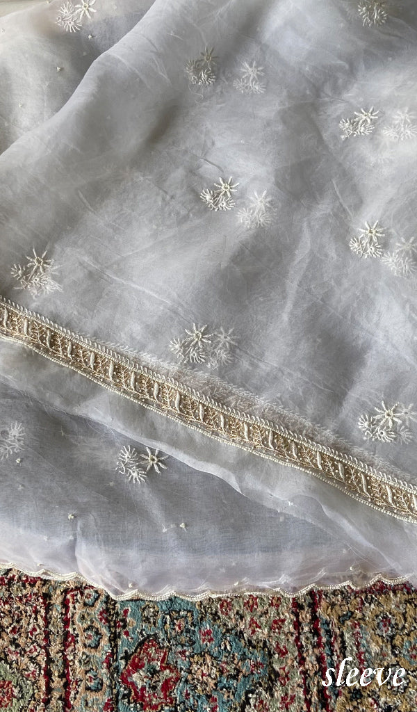 Women's Lakhnavi Handcrafted Pure Organza Chikankari Unstitched Kurta And Dupatta Set- HONC0348021