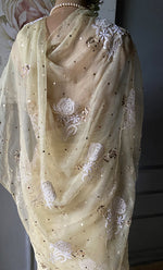 Load image into Gallery viewer, Women&#39;s Lucknowi Handcrafted Pure Organza Silk Chikankari Saree - HONC0271152

