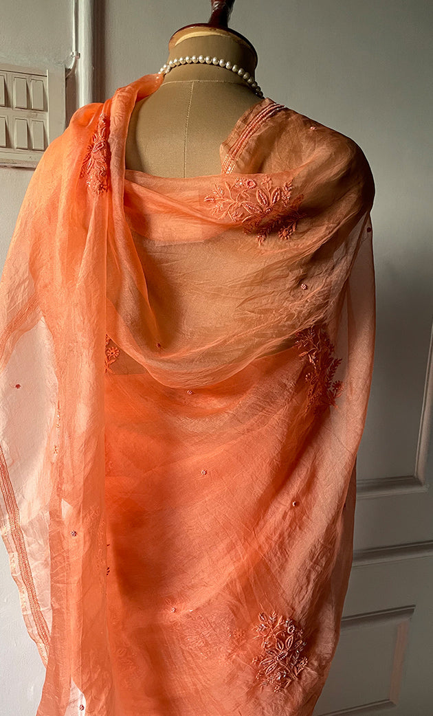 Women's Lucknowi Handcrafted Pure Organza Silk Chikankari Saree - HONC0283198