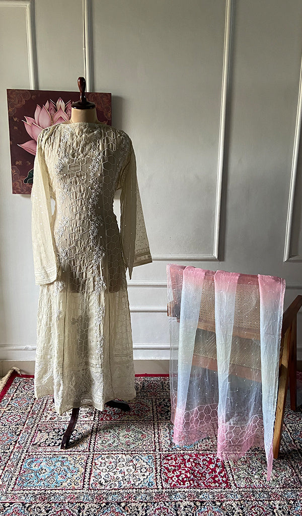 Women's Lucknowi Handcrafted Pure Organza Silk Chikankari Semi - stitched Anarkali Dupatta Set- HONC0362220