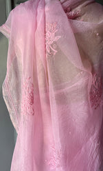 Load image into Gallery viewer, Amna Women&#39;s Lucknowi Handcrafted Pure Organza Silk Chikankari Saree - HONC0283191
