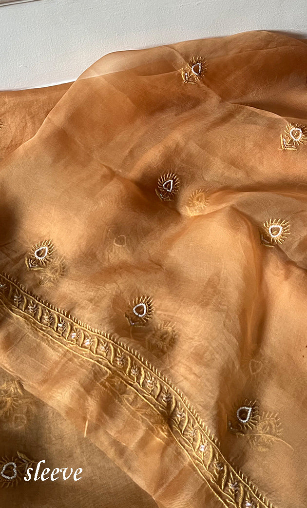 Women's Lakhnavi Handcrafted Pure Organza Chikankari Unstitched Kurta And Dupatta Set- HONC0311700