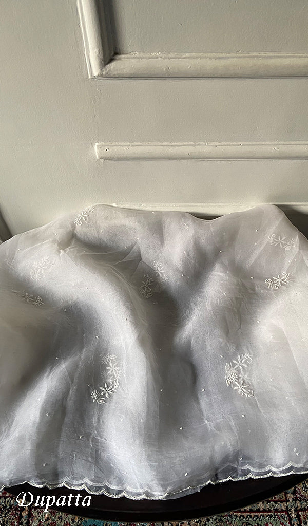 Lakhnavi 手工制作纯欧根纱 Chikankari 未缝合库尔塔和杜帕塔套装 - HONC0111117