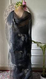 Load image into Gallery viewer, Women's Lucknowi Handcrafted Pure Organza Silk Chikankari Saree - HONC0286698