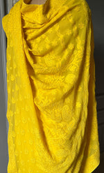 Load image into Gallery viewer, Women&#39;s Lakhnavi Handcrafted Viscose Georgette Chikankari Saree - HONC0301795
