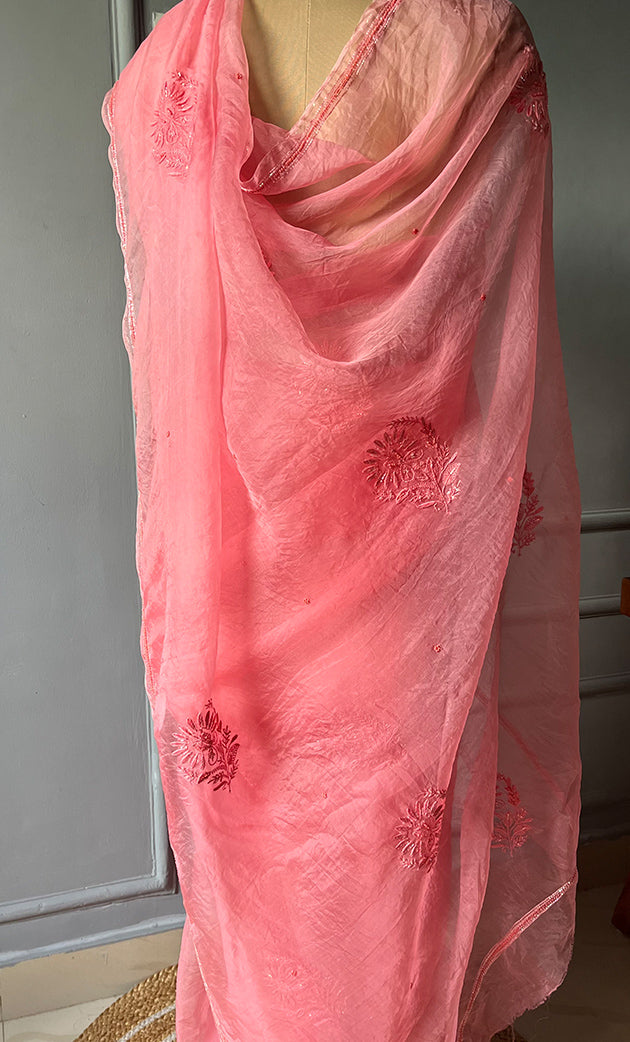 Amna Women's Lucknowi Handcrafted Pure Organza Silk Chikankari Saree - HONC0283192