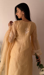 将图像加载到图库查看器中， Rose Women's Lucknowi Handcrafted Pure Organza Silk Stitched Chikankari Kurta, Dupatta With Pant Set- HONC0339014