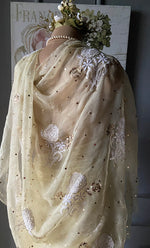 Load image into Gallery viewer, Women&#39;s Lucknowi Handcrafted Pure Organza Silk Chikankari Saree - HONC0271152
