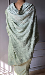Load image into Gallery viewer, Women&#39;s Lakhnavi Handcrafted Viscose Georgette Chikankari Saree - HONC0301803
