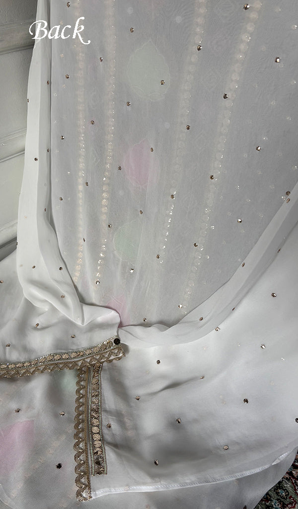 Women's Lucknowi Handcrafted Viscose Georgette Unstitched Chikankari Kurta and Dupatta Set- HONC0329581