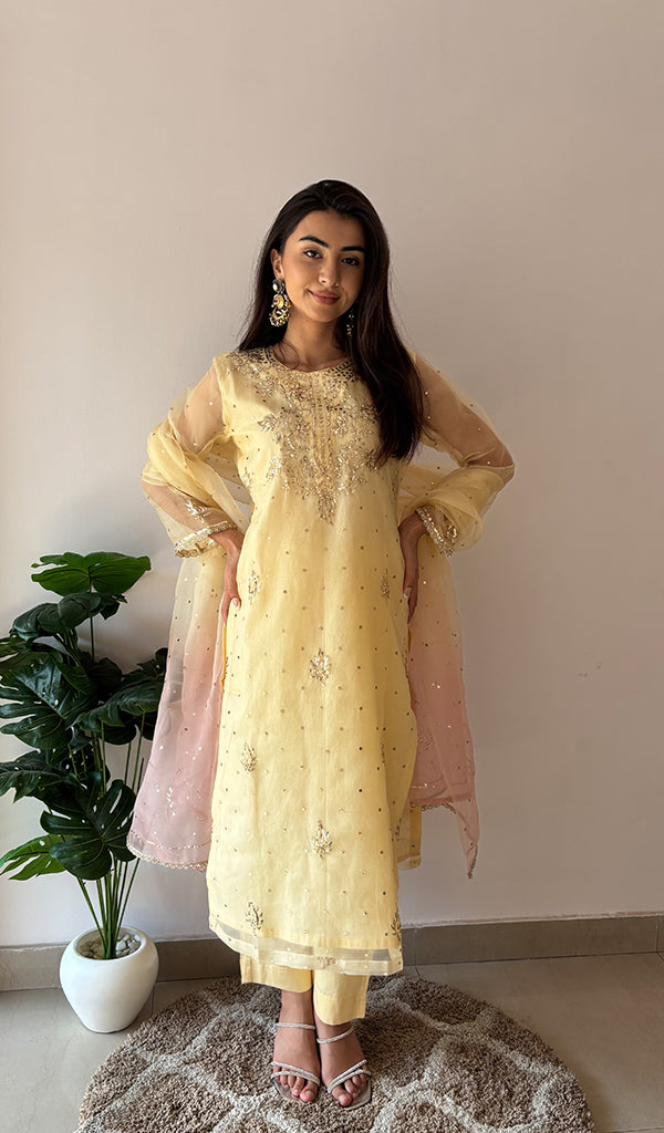 Women's Lucknowi Handcrafted Pure Organza Silk Stitched Chikankari Kurta, Dupatta With Pant Set- HONC0368442