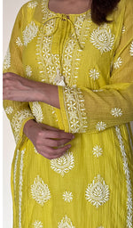 Ira Women's Lucknowi Handcrafted Mul Chanderi Stitched Chikankari Kurta And Plazzo Set .