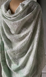 Load image into Gallery viewer, Women&#39;s Lakhnavi Handcrafted Pure Silk Georgette Chikankari - HONC0287581
