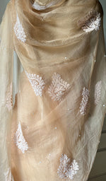 Load image into Gallery viewer, Women&#39;s Lucknowi Handcrafted Pure Organza Silk Chikankari Saree - HONC0280965

