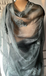 Load image into Gallery viewer, Women&#39;s Lucknowi Handcrafted Pure Organza Silk Chikankari Saree - HONC0277625
