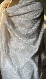 Load image into Gallery viewer, Women&#39;s Lakhnavi Handcrafted Pure Silk Georgette Chikankari - HONC0272503
