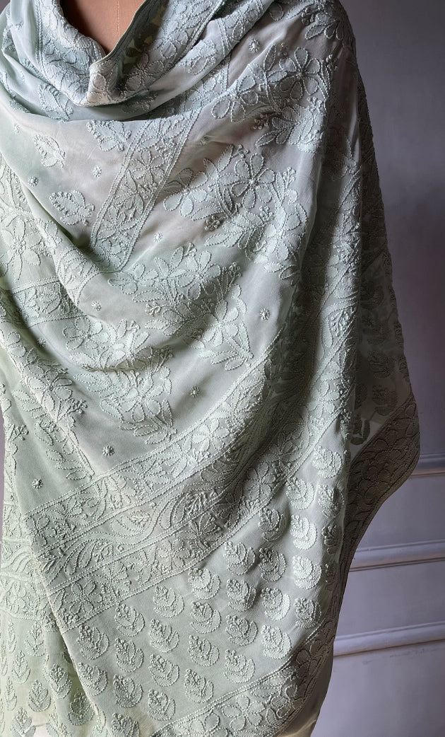 Women's Lakhnavi Handcrafted Viscose Georgette Chikankari Saree - HONC0301803