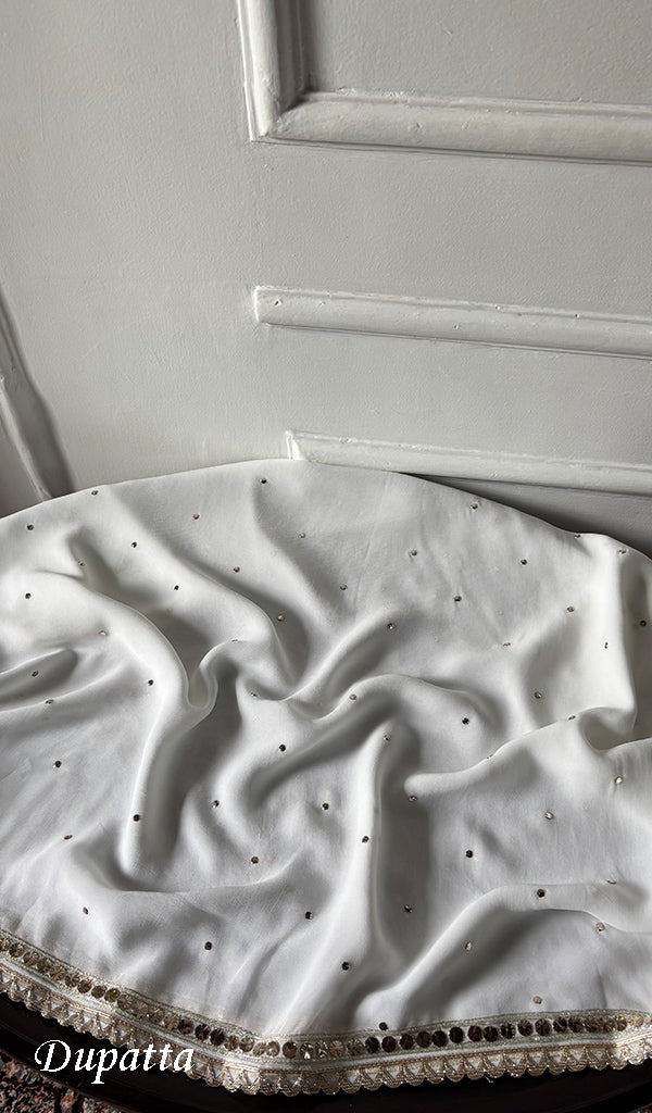 Women's Lucknowi Handcrafted Viscose Georgette Unstitched Chikankari Kurta and Dupatta Set- HONC0329581