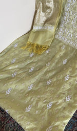 Close look at the fine chikankari with allover banarasi dupatta