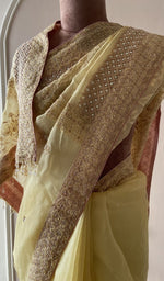 Saree on the mannequin, upper half