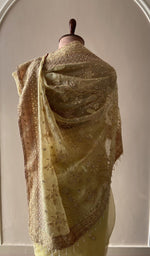 Saree on the mannequin, back view