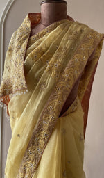 Saree on the mannequin, upper half