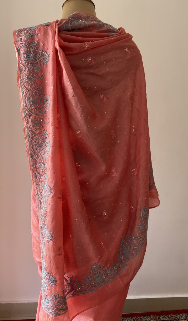 Pallu laid over the shoulder