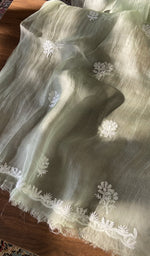 Thread work on the sage green organza silk