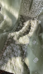 Fine do taar and teen taar chikankari on the sage green organza silk