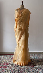 The pallu falling over the shoulder