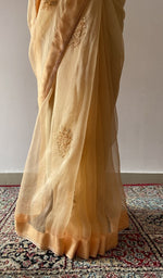 Pleats and border together