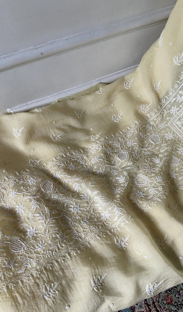 gala and front chikankari on ivory pure mul chanderi