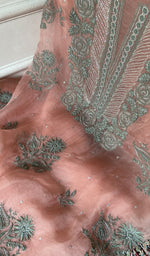 Load image into Gallery viewer, do taar and teen taar chikankari on peach pure organza silk