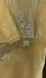 Chikankari worked by hand on organza silk