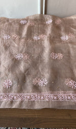 Thread work on the peach organza silk