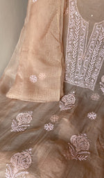Do taar and teen taar chikankari on the peach organza silk