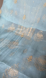 Hand embroidery on powder blue organza silk