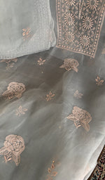Do taar and teen taar chikankari on the powder blue organza silk