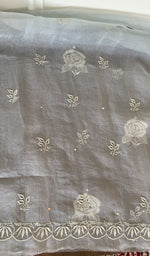 Hand embroidery on powder blue organza silk