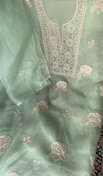 Dupatta laid over the kurta, pure organza silk