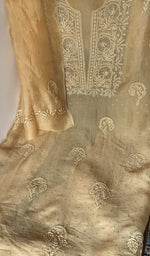 Dupatta laid over the kurta, pure organza silk