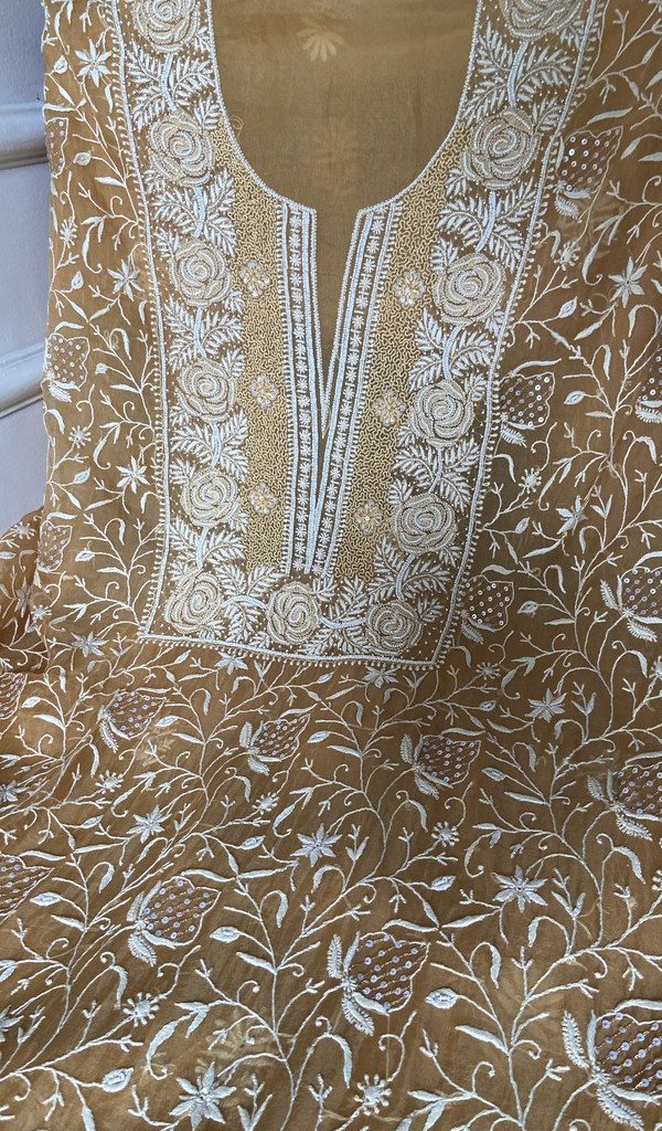 dupatta detail with the border work