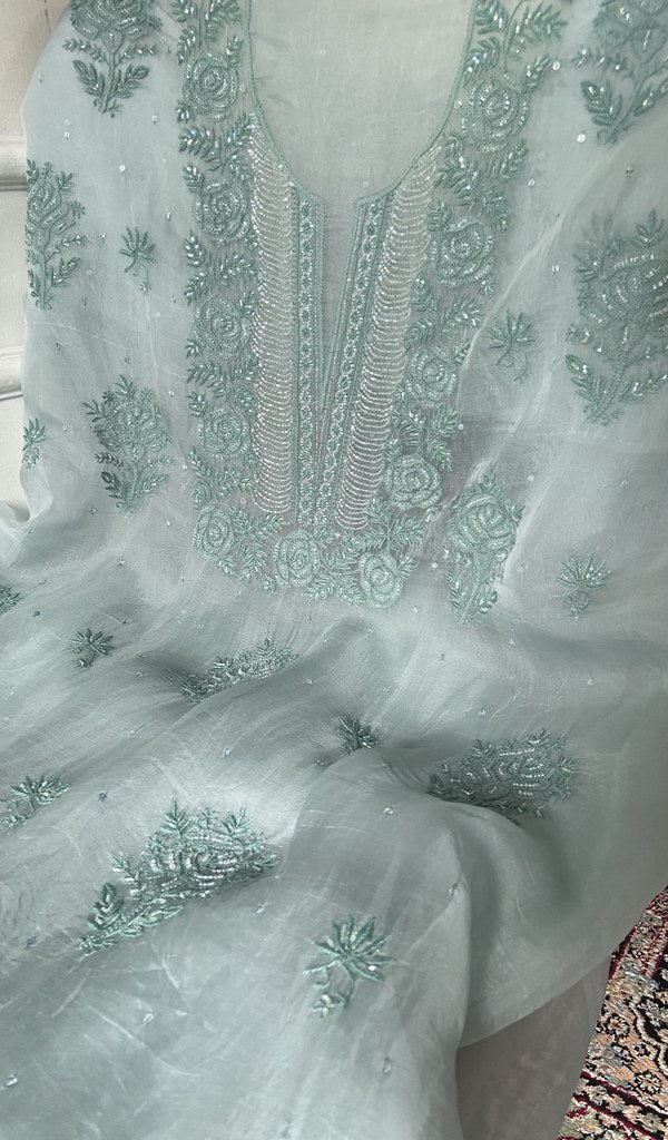 dupatta detail with the border work