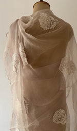 Pallu detail
